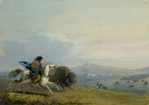 Pawnee Running Buffalo